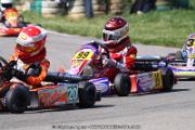 20110501_ales_agnus (2032)